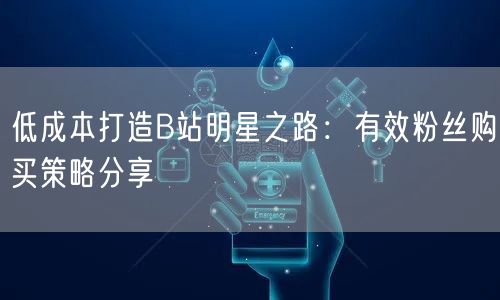 低成本打造B站明星之路：有效粉丝购买策略分享