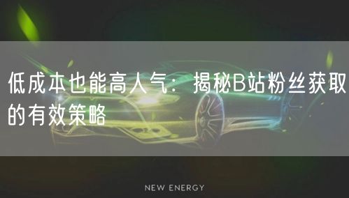 低成本也能高人气：揭秘B站粉丝获取的有效策略