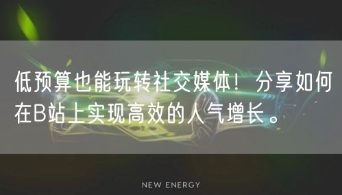 低预算也能玩转社交媒体！分享如何在B站上实现高效的人气增长。