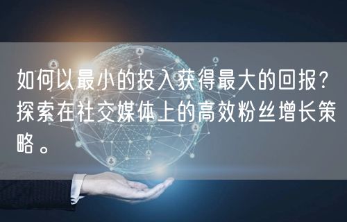 如何以最小的投入获得最大的回报？探索在社交媒体上的高效粉丝增长策略。