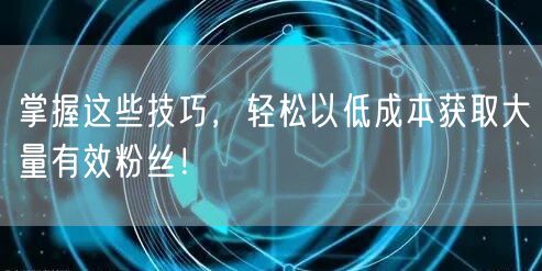 掌握这些技巧，轻松以低成本获取大量有效粉丝！