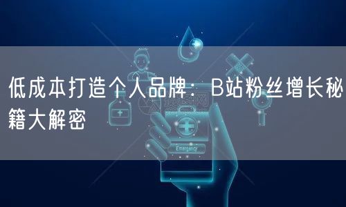 低成本打造个人品牌：B站粉丝增长秘籍大解密