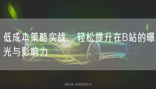 低成本策略实战，轻松提升在B站的曝光与影响力