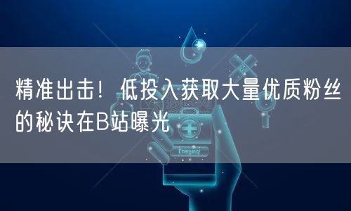 精准出击！低投入获取大量优质粉丝的秘诀在B站曝光