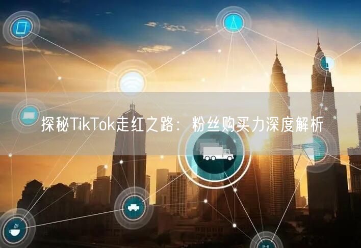 探秘TikTok走红之路：粉丝购买力深度解析