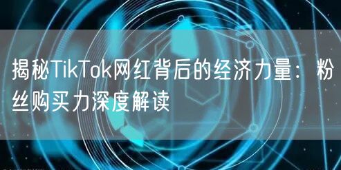 揭秘TikTok网红背后的经济力量：粉丝购买力深度解读