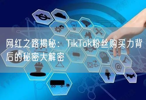 网红之路揭秘：TikTok粉丝购买力背后的秘密大解密