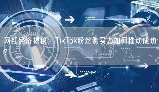 网红经济揭秘：TikTok粉丝购买力如何推动成功?
