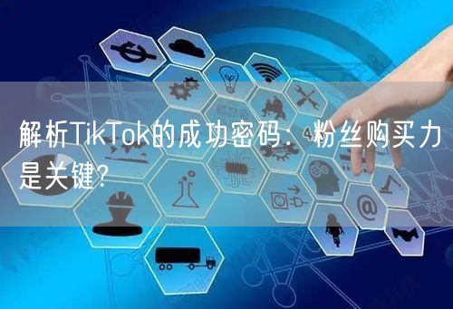 解析TikTok的成功密码：粉丝购买力是关键?