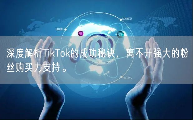 深度解析TikTok的成功秘诀，离不开强大的粉丝购买力支持。