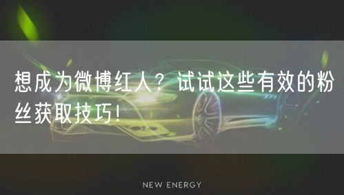 想成为微博红人？试试这些有效的粉丝获取技巧！