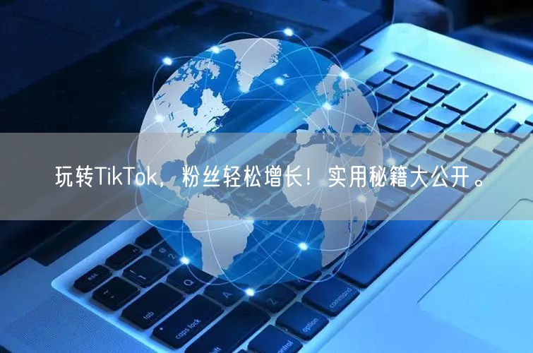 玩转TikTok，粉丝轻松增长！实用秘籍大公开。