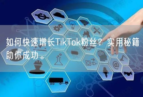 如何快速增长TikTok粉丝？实用秘籍助你成功。