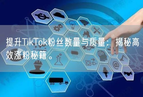 提升TikTok粉丝数量与质量：揭秘高效涨粉秘籍。
