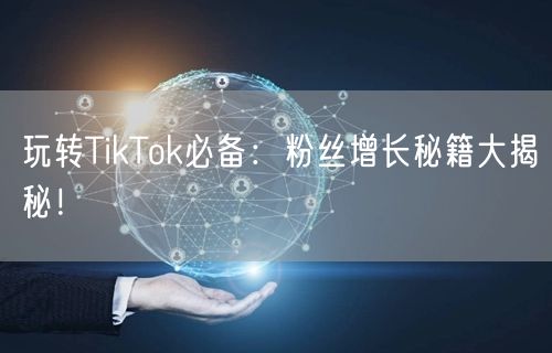 玩转TikTok必备：粉丝增长秘籍大揭秘！