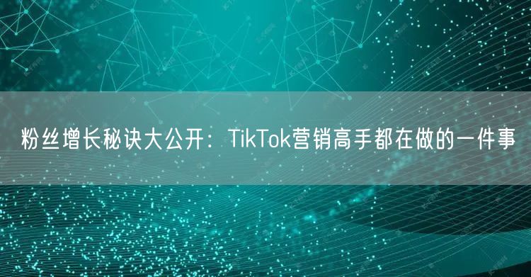 粉丝增长秘诀大公开：TikTok营销高手都在做的一件事