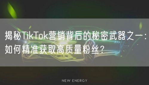 揭秘TikTok营销背后的秘密武器之一：如何精准获取高质量粉丝？