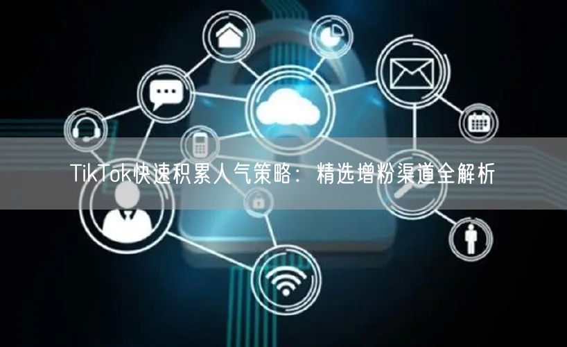 TikTok快速积累人气策略：精选增粉渠道全解析