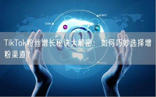 TikTok粉丝增长秘诀大解密：如何巧妙选择增粉渠道？