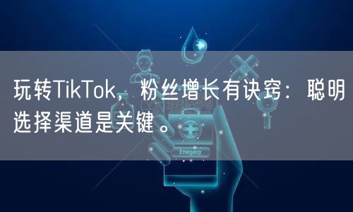 玩转TikTok，粉丝增长有诀窍：聪明选择渠道是关键。
