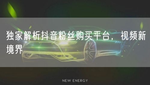 独家解析抖音粉丝购买平台，视频新境界