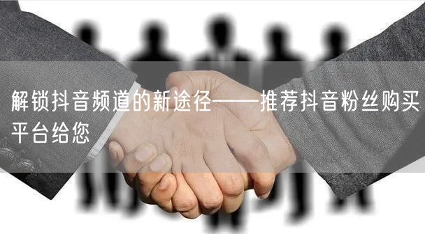 解锁抖音频道的新途径——推荐抖音粉丝购买平台给您