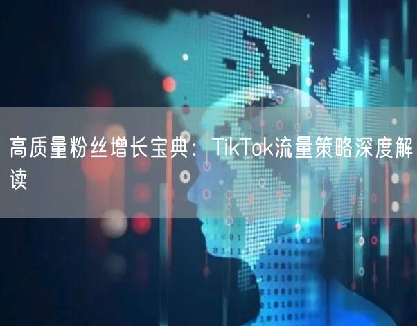 高质量粉丝增长宝典：TikTok流量策略深度解读