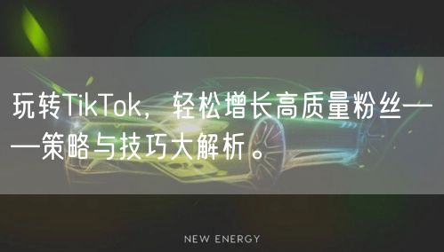 玩转TikTok，轻松增长高质量粉丝——策略与技巧大解析。