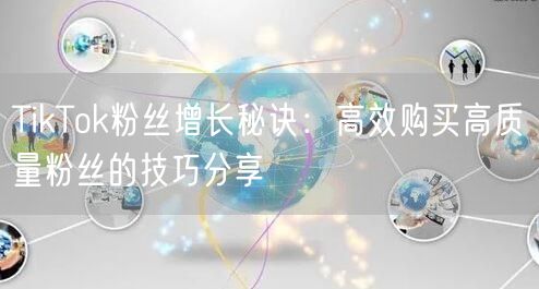 TikTok粉丝增长秘诀：高效购买高质量粉丝的技巧分享