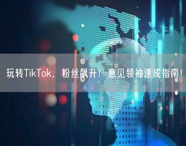 玩转TikTok，粉丝飙升！意见领袖速成指南！