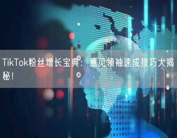 TikTok粉丝增长宝典：意见领袖速成技巧大揭秘！