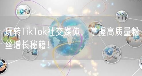 玩转TikTok社交媒体，掌握高质量粉丝增长秘籍！