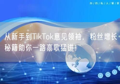 从新手到TikTok意见领袖，粉丝增长秘籍助你一路高歌猛进！