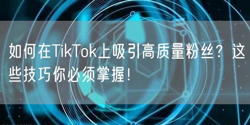 如何在TikTok上吸引高质量粉丝？这些技巧你必须掌握！