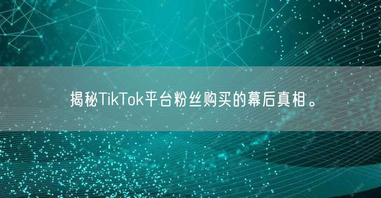 揭秘TikTok平台粉丝购买的幕后真相。