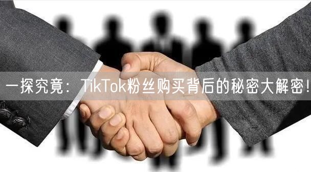 一探究竟：TikTok粉丝购买背后的秘密大解密！