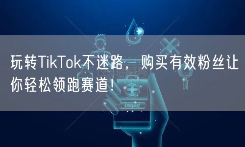 玩转TikTok不迷路，购买有效粉丝让你轻松领跑赛道！