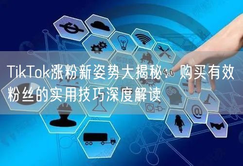 TikTok涨粉新姿势大揭秘：购买有效粉丝的实用技巧深度解读