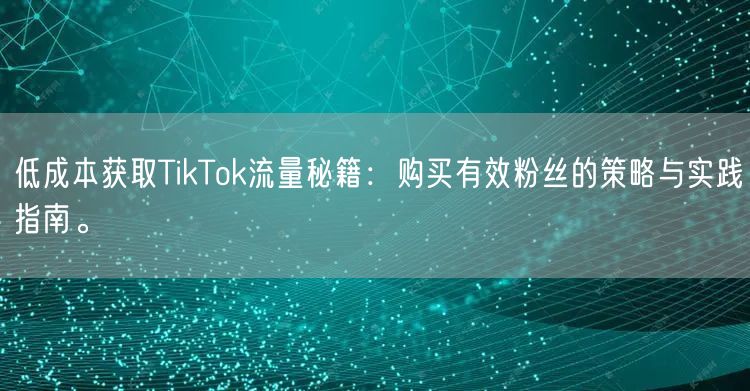 低成本获取TikTok流量秘籍：购买有效粉丝的策略与实践指南。