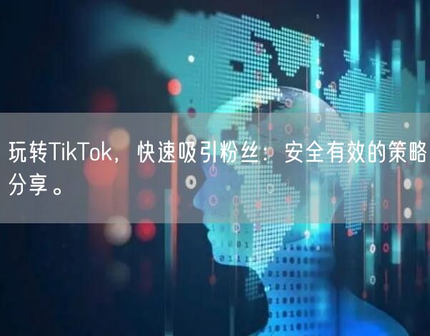 玩转TikTok，快速吸引粉丝：安全有效的策略分享。