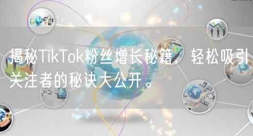 揭秘TikTok粉丝增长秘籍，轻松吸引关注者的秘诀大公开。