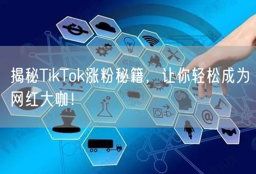 揭秘TikTok涨粉秘籍，让你轻松成为网红大咖！