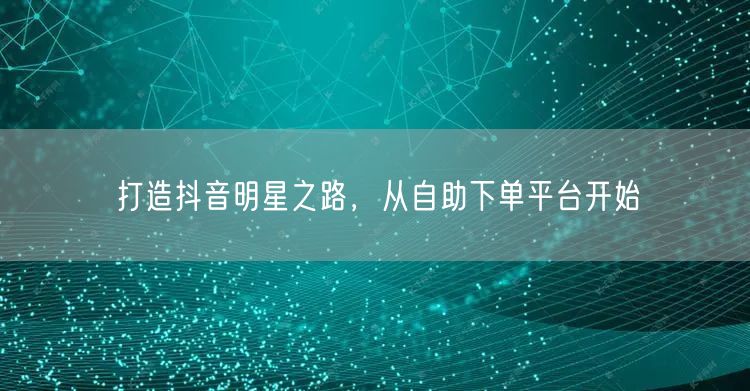打造抖音明星之路，从自助下单平台开始