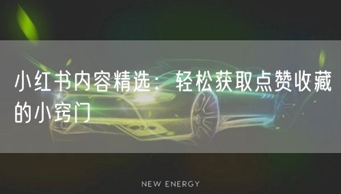 小红书内容精选：轻松获取点赞收藏的小窍门