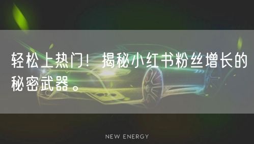 轻松上热门！揭秘小红书粉丝增长的秘密武器。