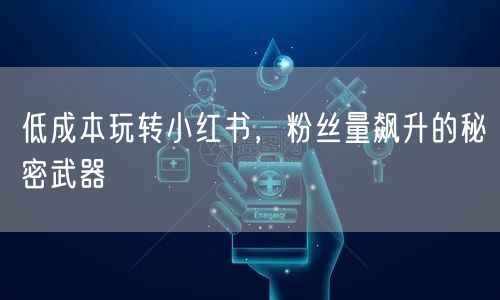 低成本玩转小红书，粉丝量飙升的秘密武器