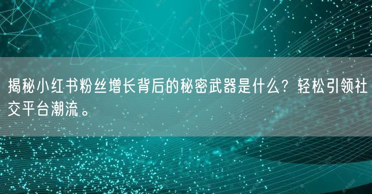 揭秘小红书粉丝增长背后的秘密武器是什么？轻松引领社交平台潮流。