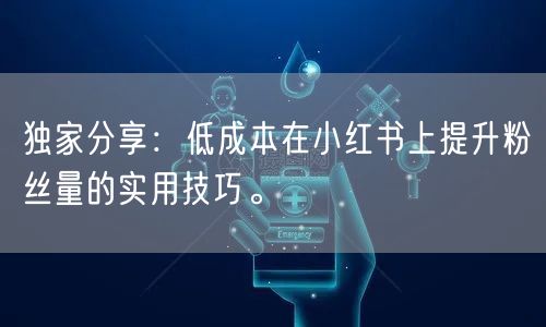 独家分享：低成本在小红书上提升粉丝量的实用技巧。