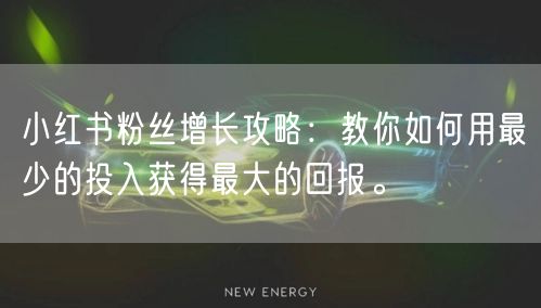 小红书粉丝增长攻略：教你如何用最少的投入获得最大的回报。