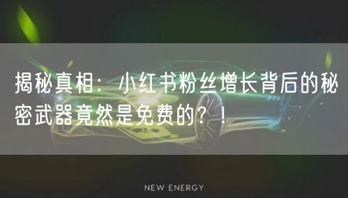 揭秘真相：小红书粉丝增长背后的秘密武器竟然是免费的？！